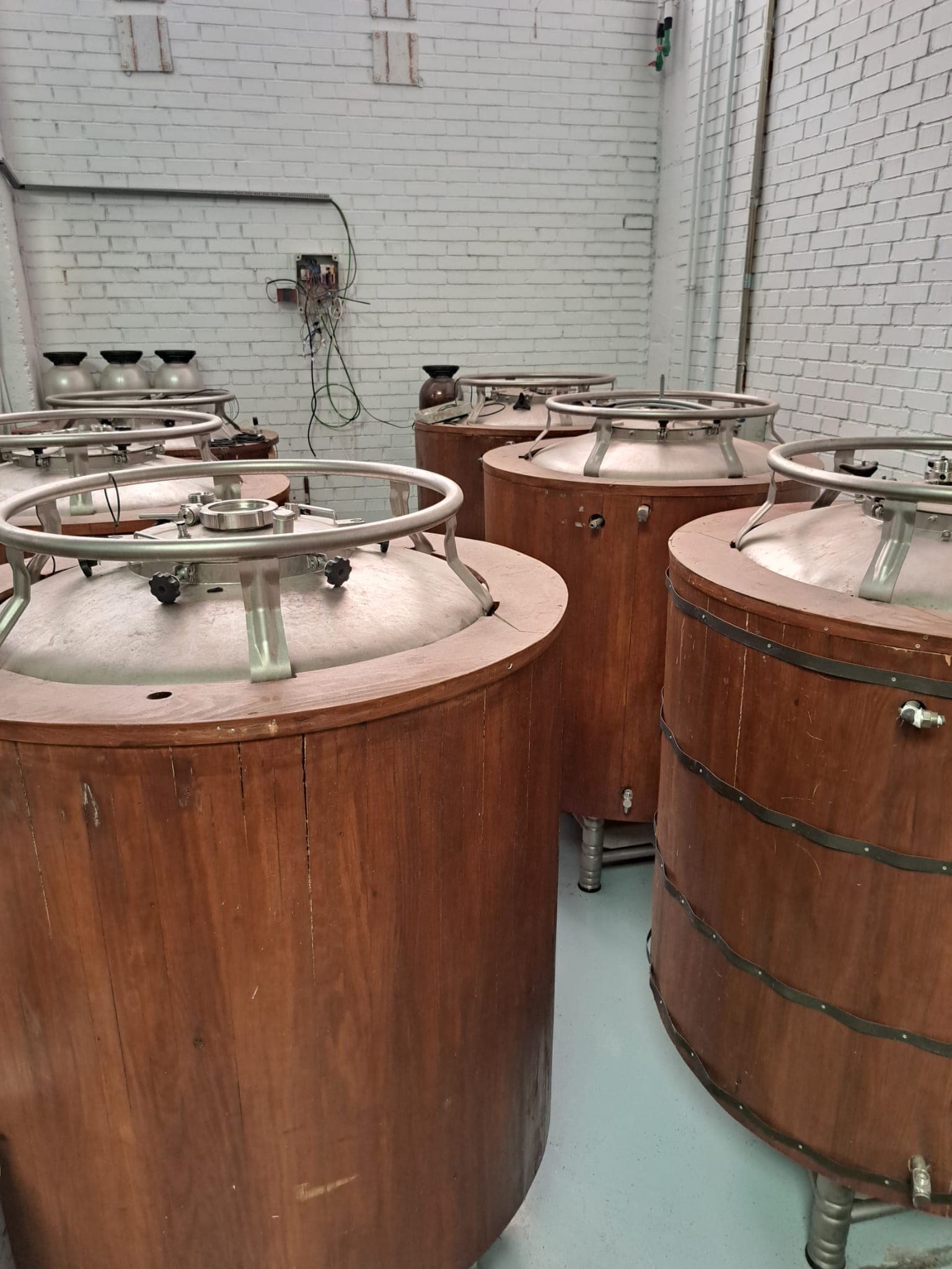 Image of the product